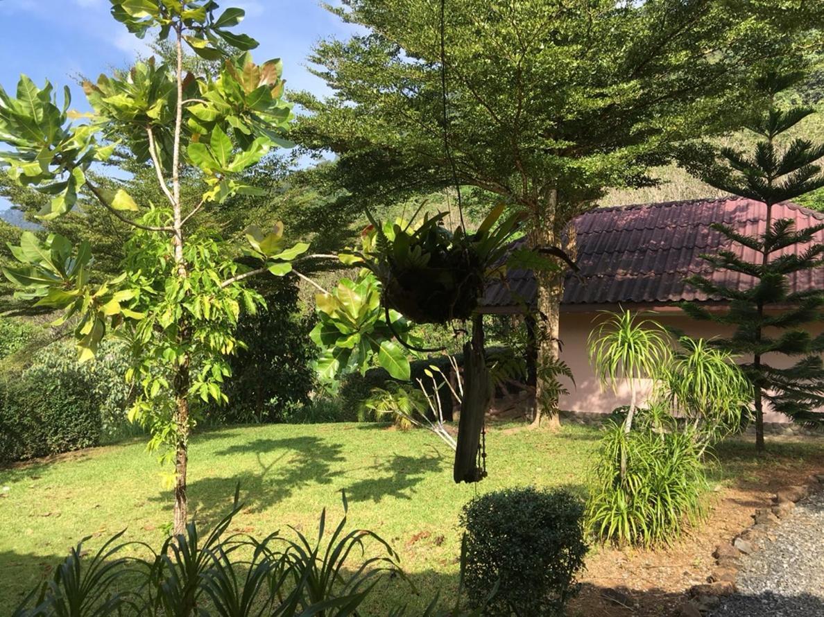 Khao Sok Hill Top Resort Khao Sok National Park Exteriér fotografie